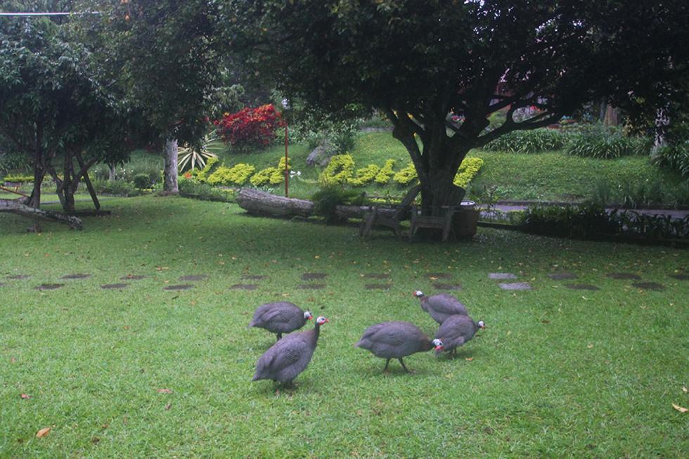 Hotel Villa Rawa Pening Pratama By Aparian บันดูงัน ภายนอก รูปภาพ